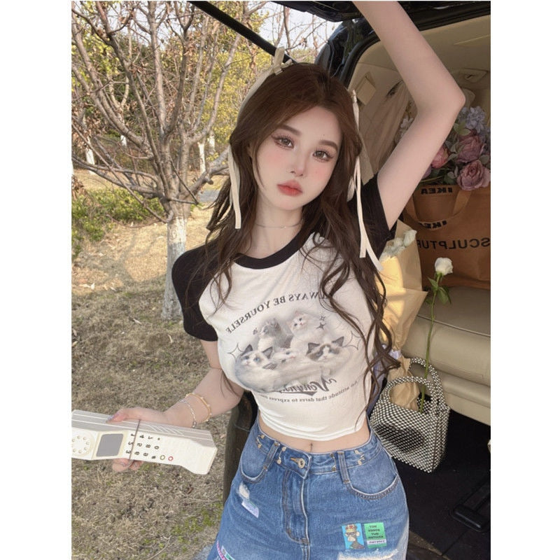 Cute Cat Baseball T-Shirt