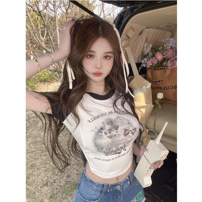 Cute Cat Baseball T-Shirt