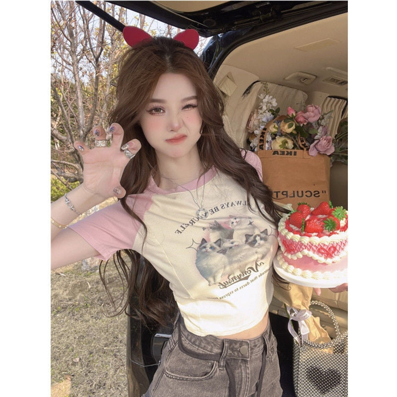 Cute Cat Baseball T-Shirt