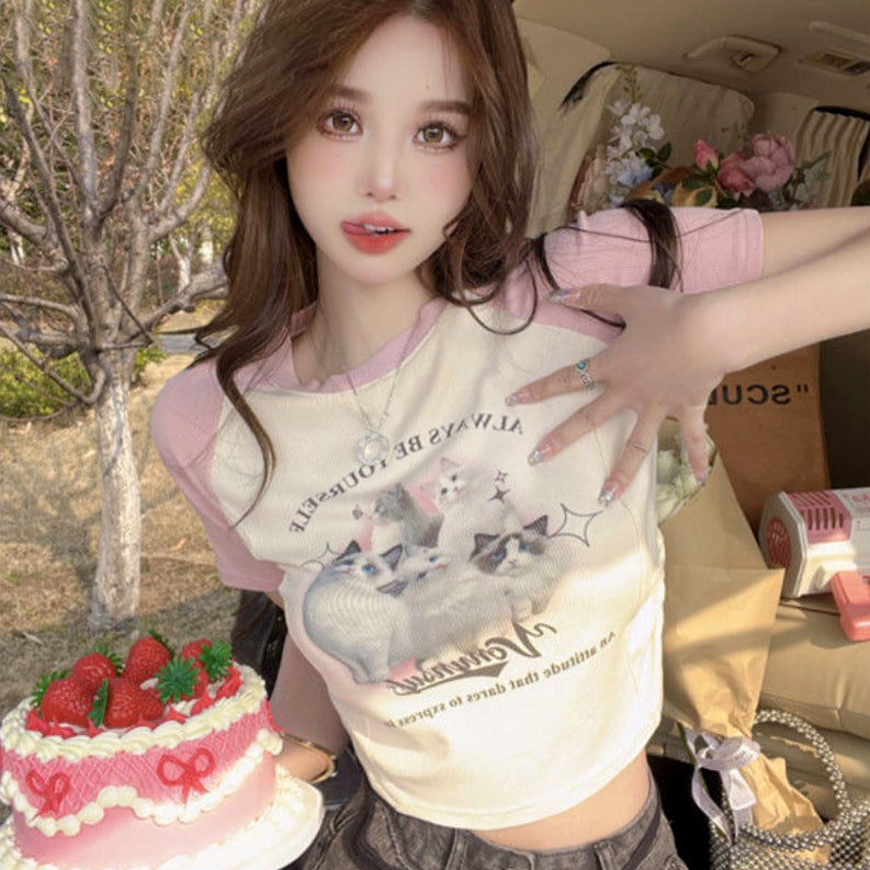 Korean Fashion Outfits - Crop Top Cute Cat Baseball T-Shirt Kitten –  Aesthetics Boutique