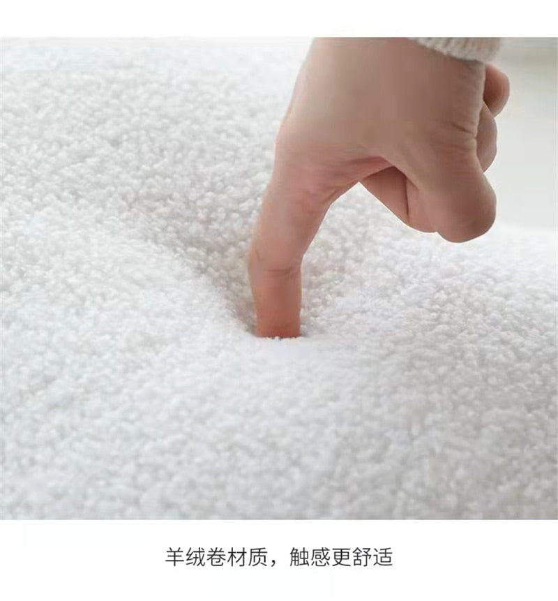 Aesthetic Cloud Plush Cushion