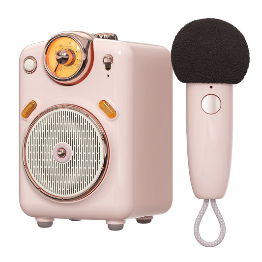 Divoom Fairy-OK Portable Bluetooth Speaker with Microphone