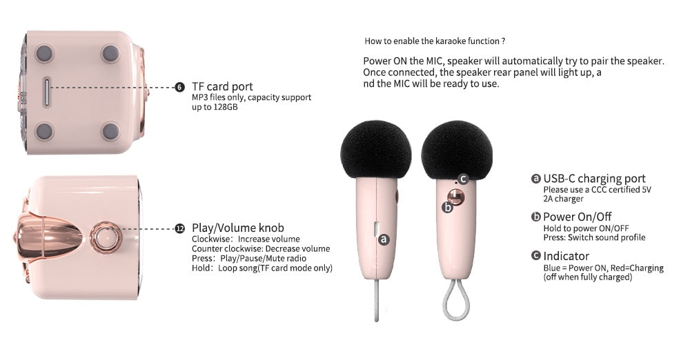 Divoom Fairy-OK Portable Bluetooth Speaker with Microphone