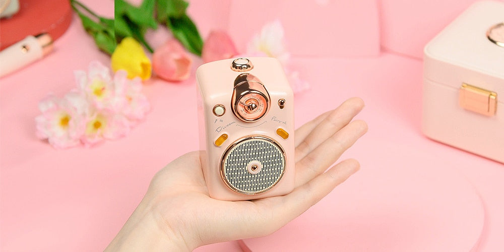 Divoom Fairy-OK Portable Bluetooth Speaker with Microphone