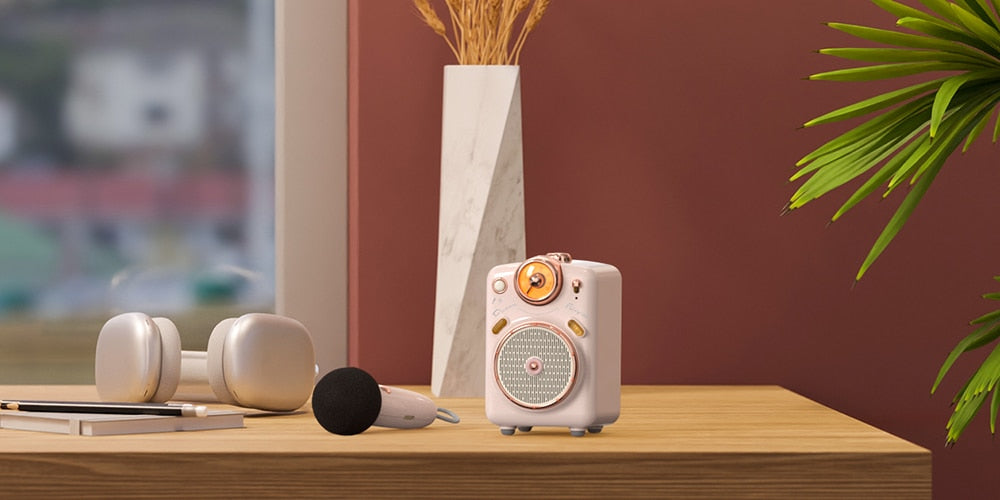 Divoom Fairy-OK Portable Bluetooth Speaker with Microphone