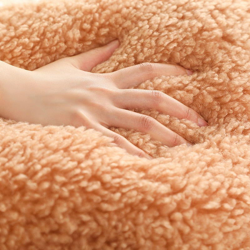 Aesthetic Cloud Plush Cushion