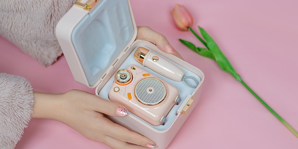 Divoom Fairy-OK Portable Bluetooth Speaker with Microphone