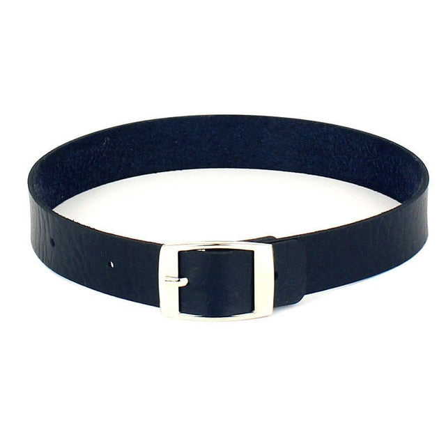 Dark Aesthetic Simple Choker Necklace