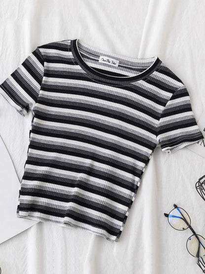 Striped Crop T-Shirt Gray Black White