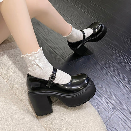 Chunky Heel Mary Janes Platform Shoes Black